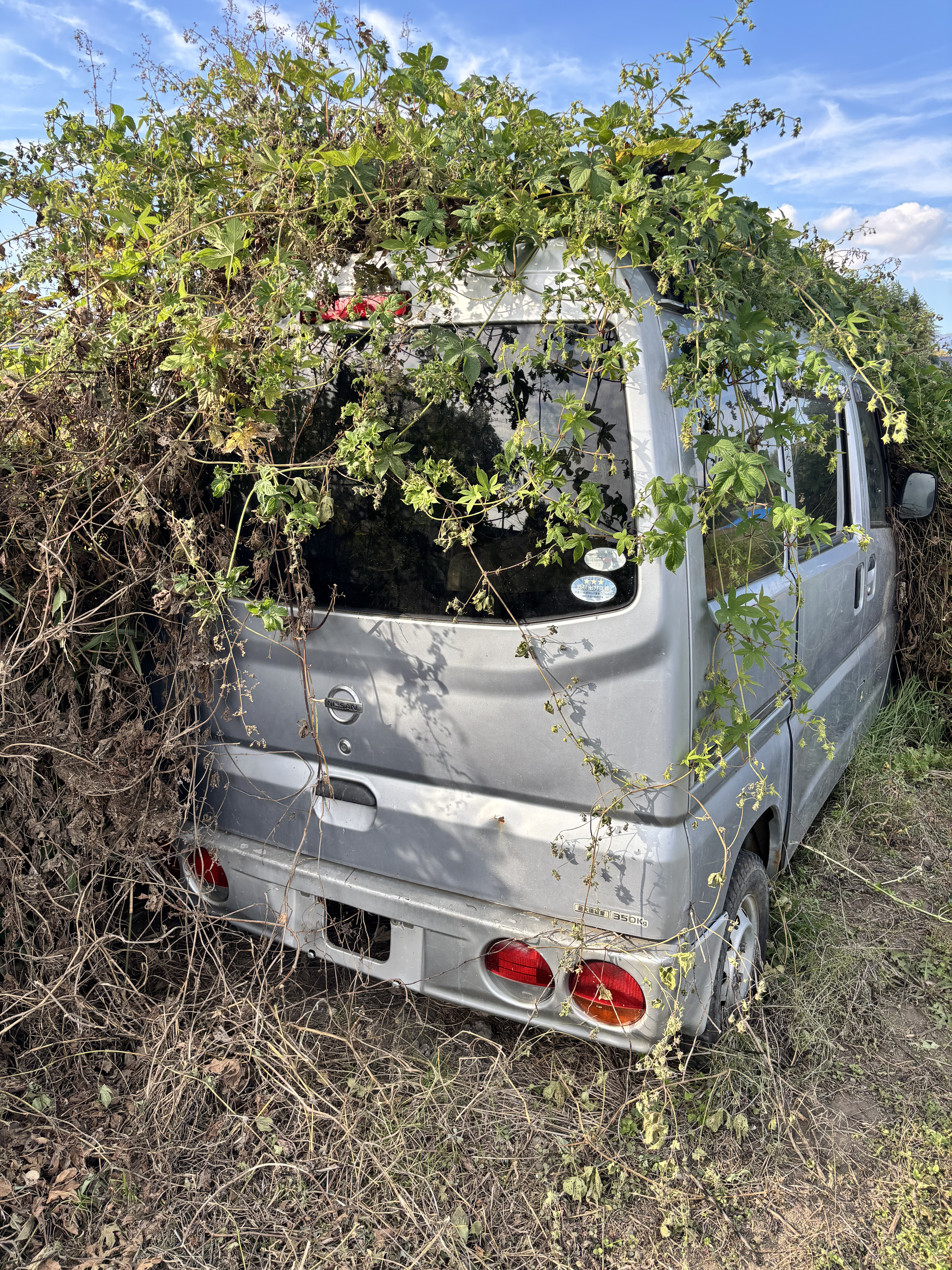 事故車・不動車でもお任せ！
